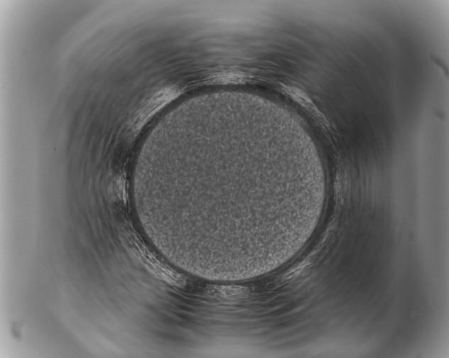 X0000102481209200809051348