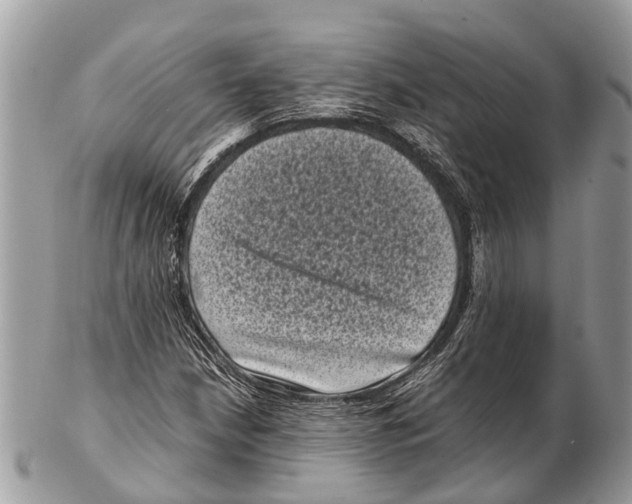 X0000102481210200809051348