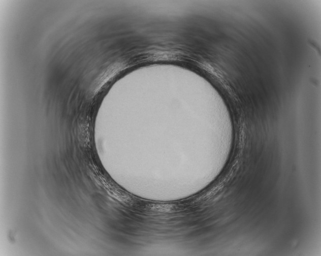 X0000102481211200809051348