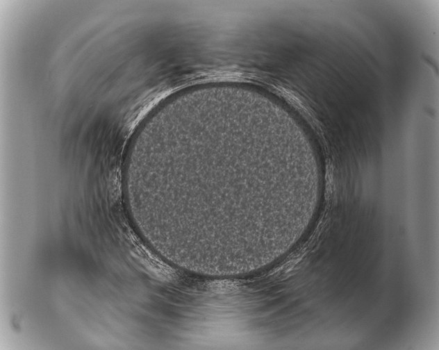 X0000102481212200809051348