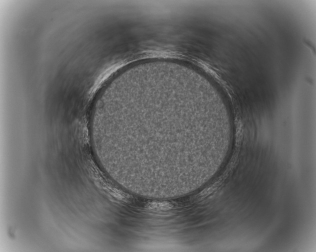 X0000102481215200809051348