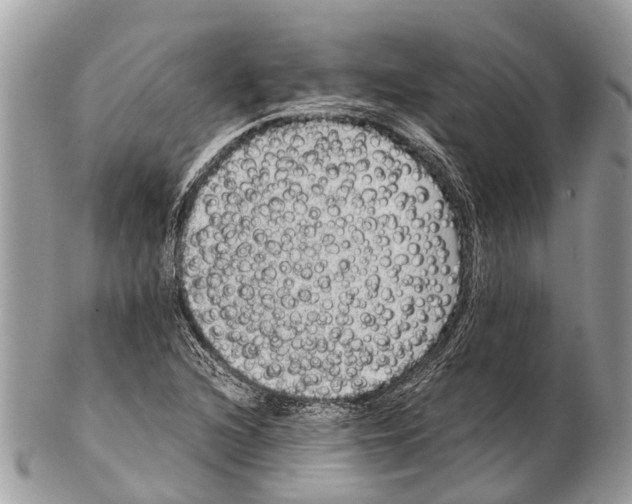 X0000102481216200809051348