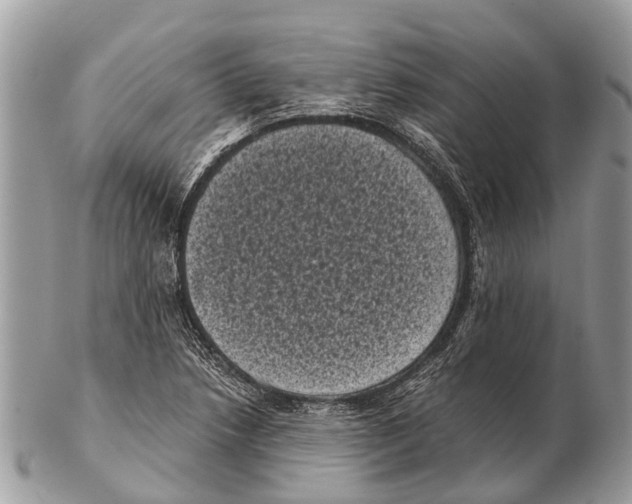 X0000102481218200809051348