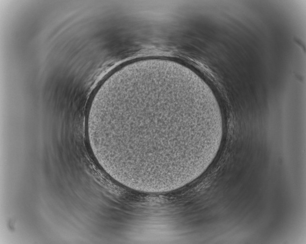 X0000102481220200809051348