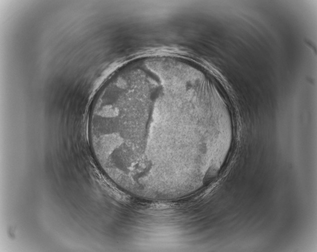 X0000102481224200809051348