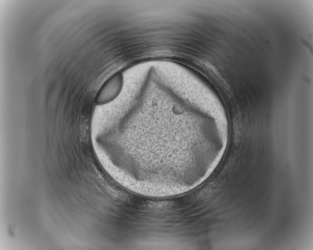 X0000102481225200809051348