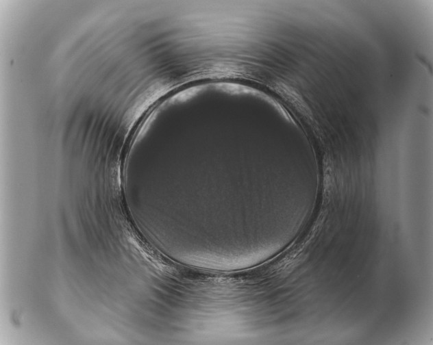 X0000102481226200809051348