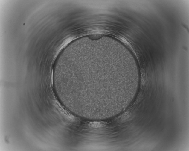 X0000102481227200809051348