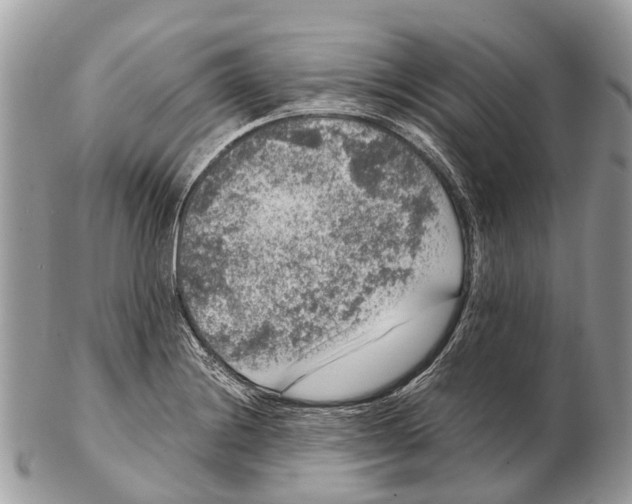 X0000102481228200809051348