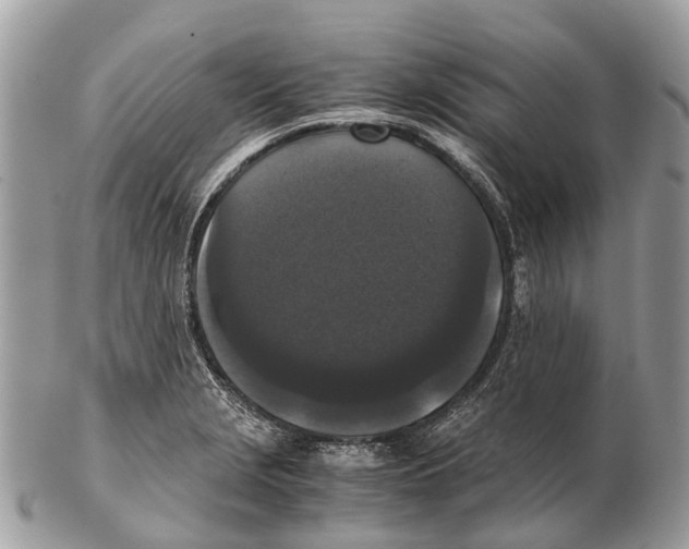 X0000102481229200809051348