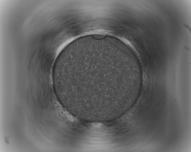 X0000102481230200809051348