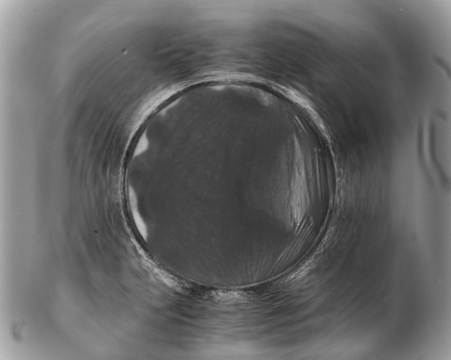 X0000102481231200809051348