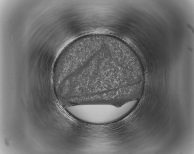 X0000102481232200809051348