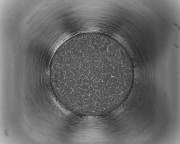 X0000102481234200809051348