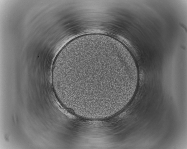 X0000102481236200809051348