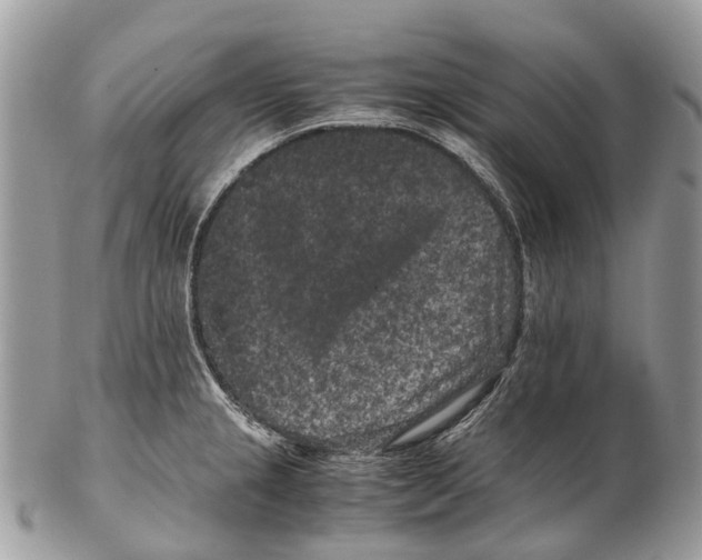 X0000102481237200809051348