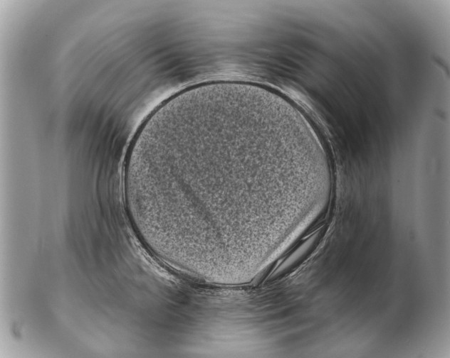 X0000102481238200809051348