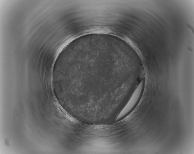 X0000102481240200809051348