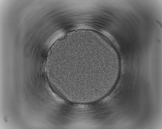 X0000102481241200809051348