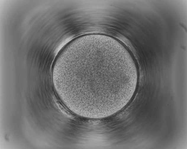 X0000102481242200809051348