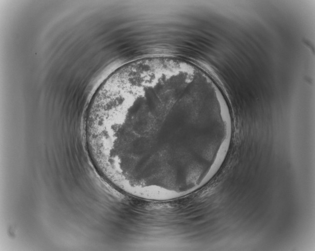 X0000102481243200809051348