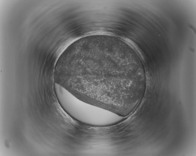 X0000102481244200809051348