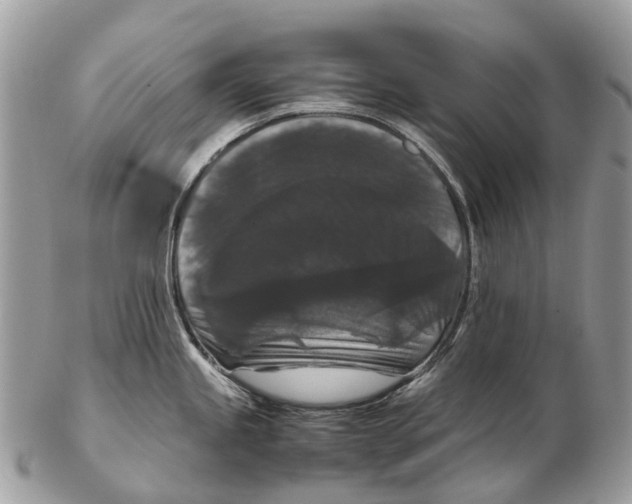 X0000102481245200809051348