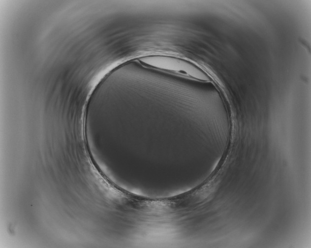 X0000102481246200809051348