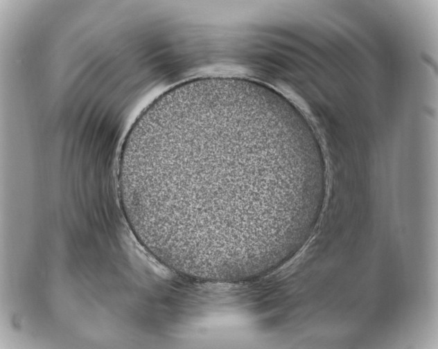 X0000102481248200809051348