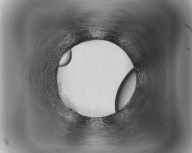 X0000102481249200809051348