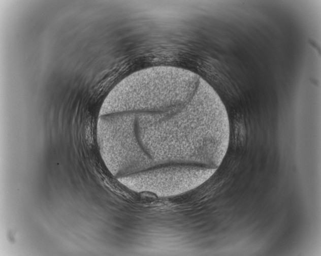 X0000102481250200809051348