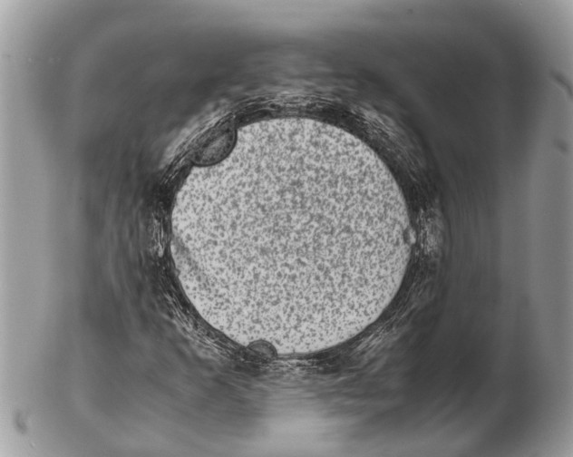 X0000102481253200809051348