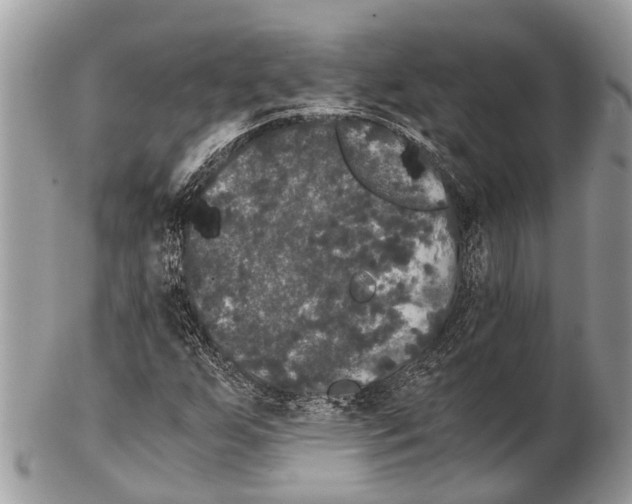 X0000102481255200809051348