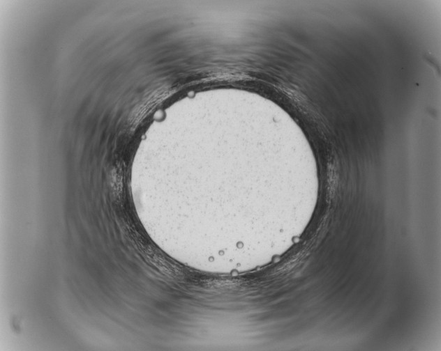 X0000102481257200809051348