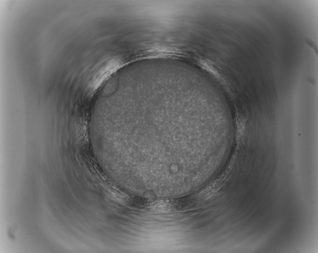 X0000102481259200809051348