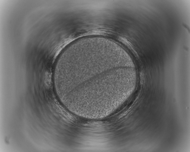 X0000102481260200809051348