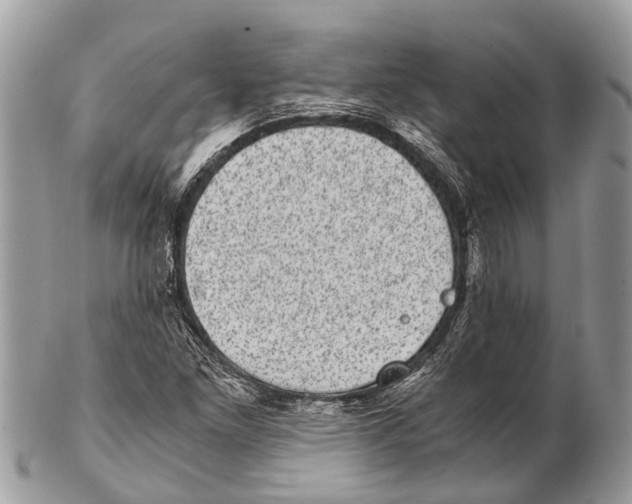 X0000102481261200809051348