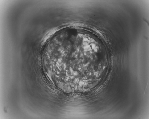 X0000102481263200809051347