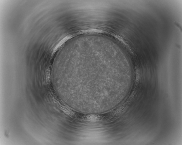 X0000102481266200809051347