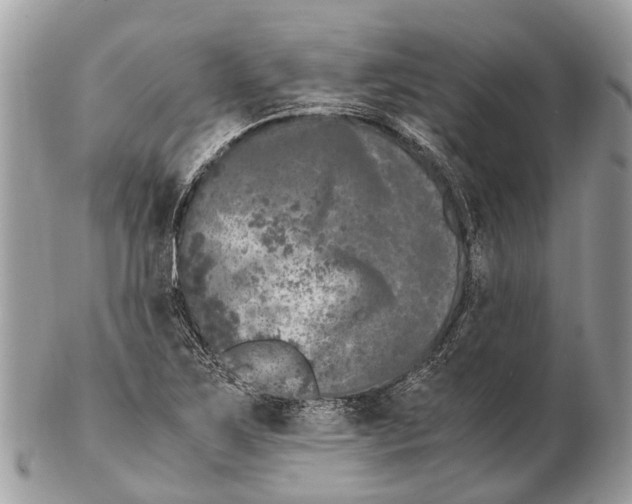 X0000102481267200809051347