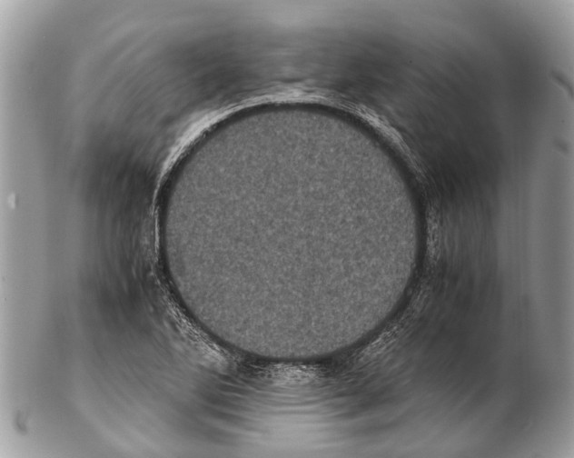 X0000102481270200809051347