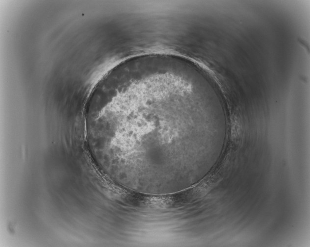 X0000102481271200809051347