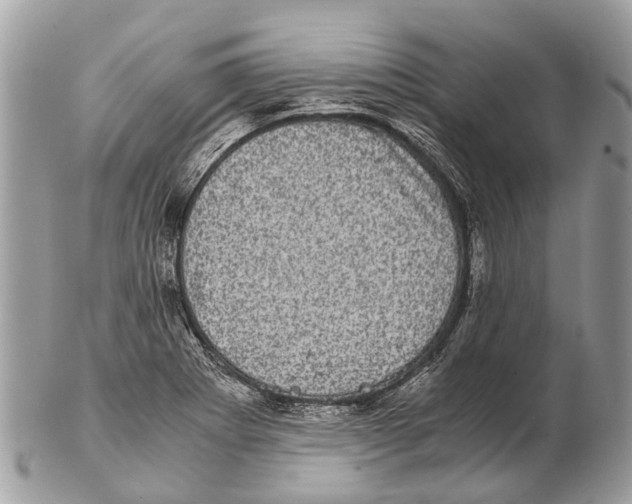 X0000102481273200809051347