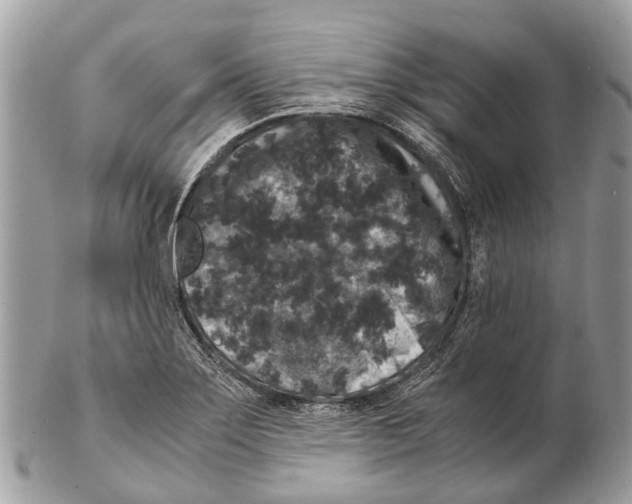 X0000102481275200809051347