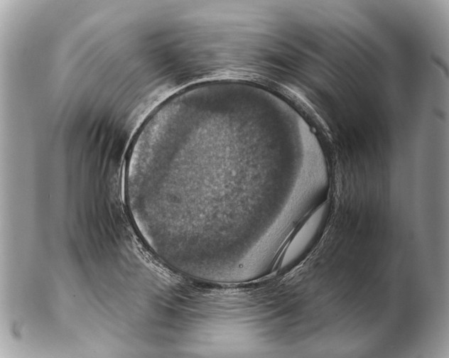 X0000102481276200809051347