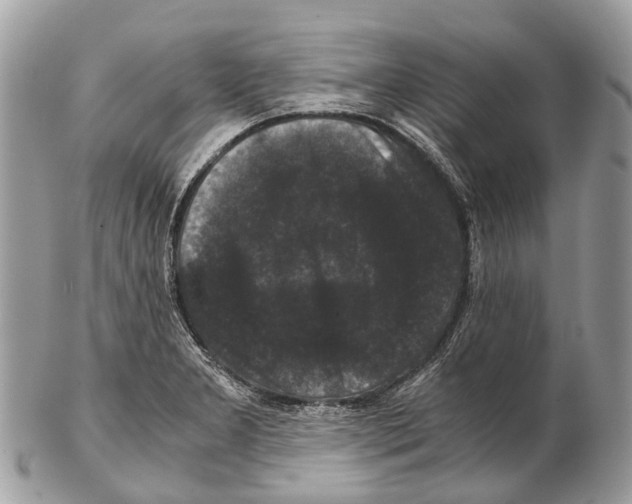 X0000102481277200809051347