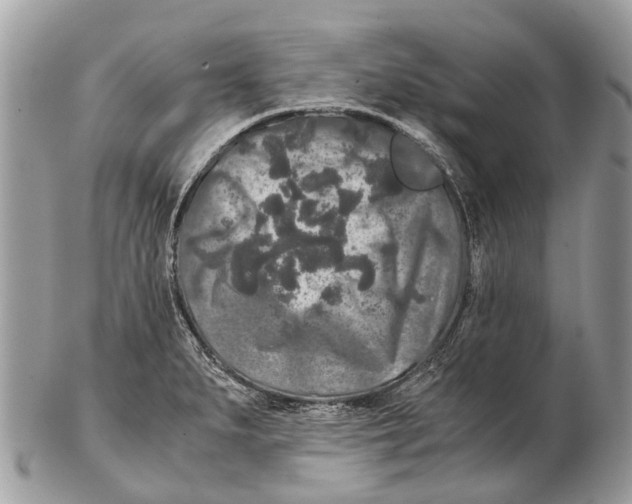 X0000102481279200809051347