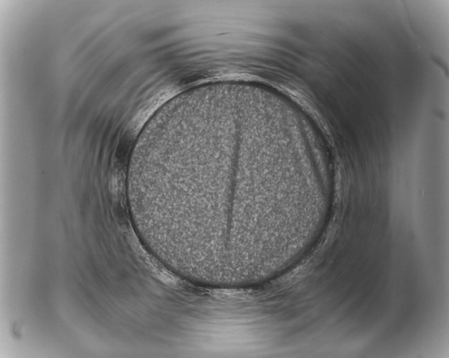 X0000102481281200809051347