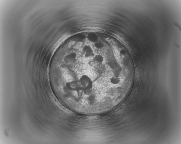 X0000102481283200809051347