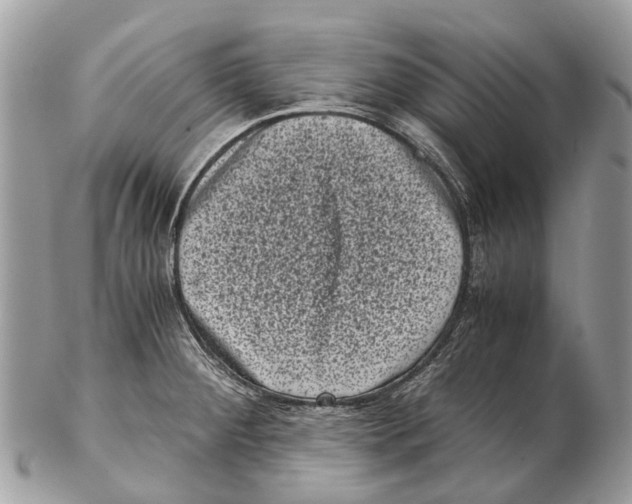 X0000102481284200809051347